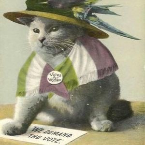 Meet your Posher, Kate